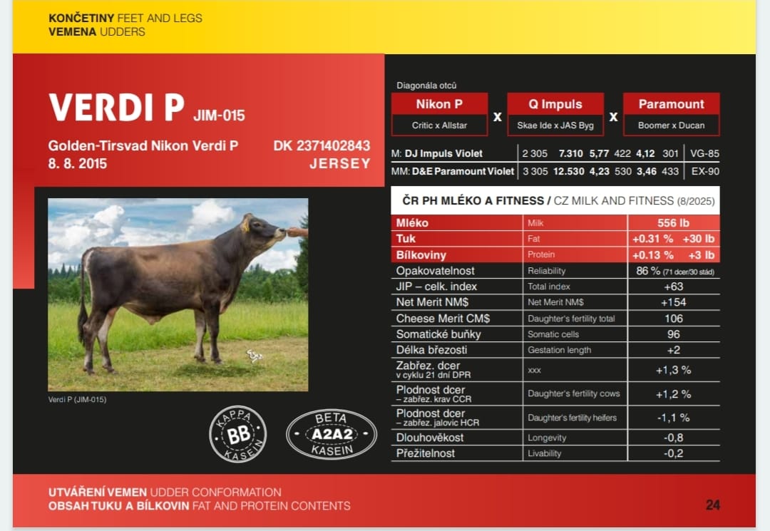 VERDI P