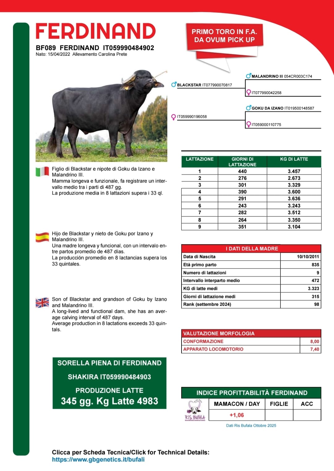 FERDINAND